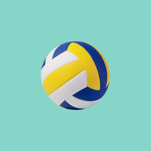 Shop Name: Volleyball Equipment & Apparel